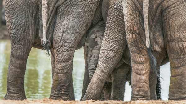 Lenske Boortmeerbeek - Bogaerts Jo - Beschermd